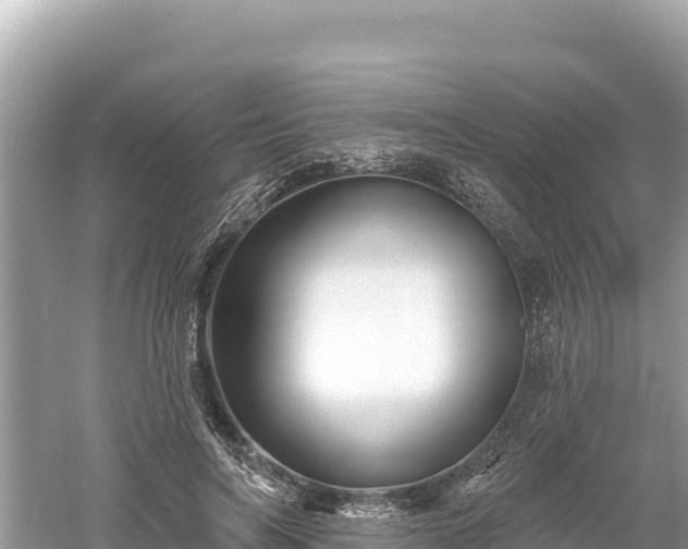 X0000061730694200512050934