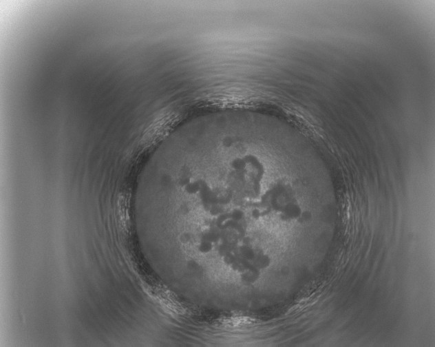 X0000061730695200512050934