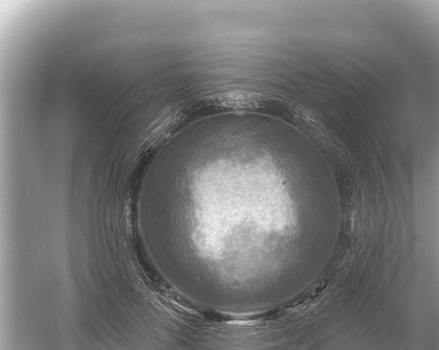 X0000061730696200512050934