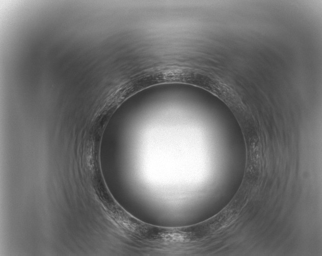 X0000061730698200512050934