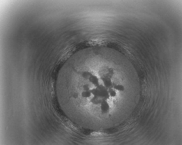 X0000061730699200512050934