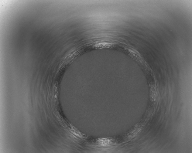 X0000061730701200512050934