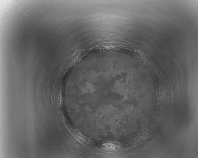 X0000061730703200512050934