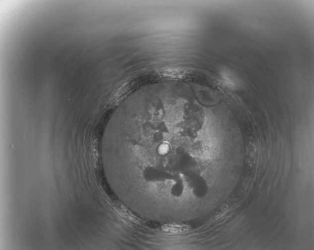 X0000061730707200512050934