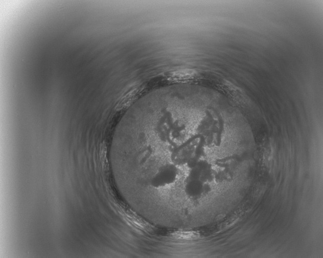 X0000061730711200512050933