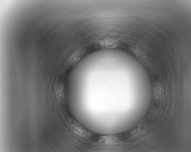 X0000061730713200512050933