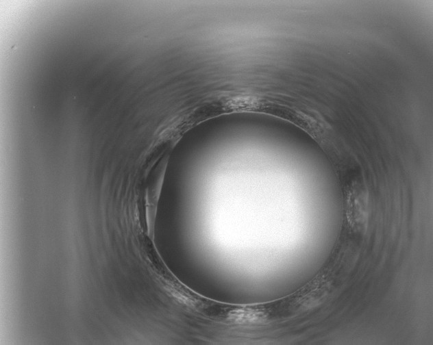 X0000061730714200512050933