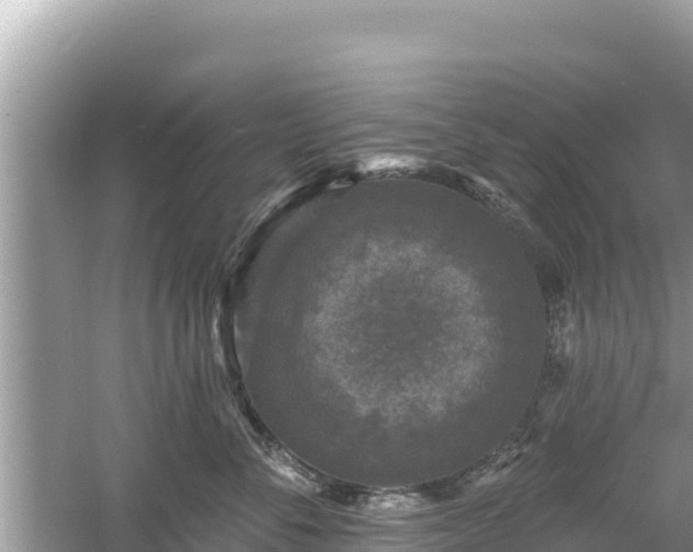 X0000061730716200512050933