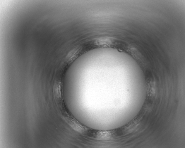 X0000061730717200512050933