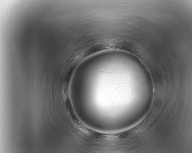 X0000061730719200512050933