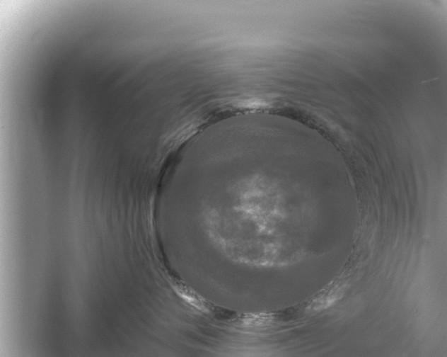 X0000061730720200512050933