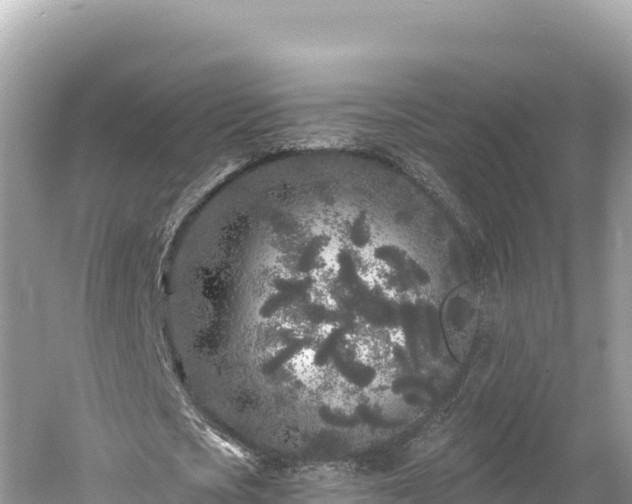 X0000061730721200512050932