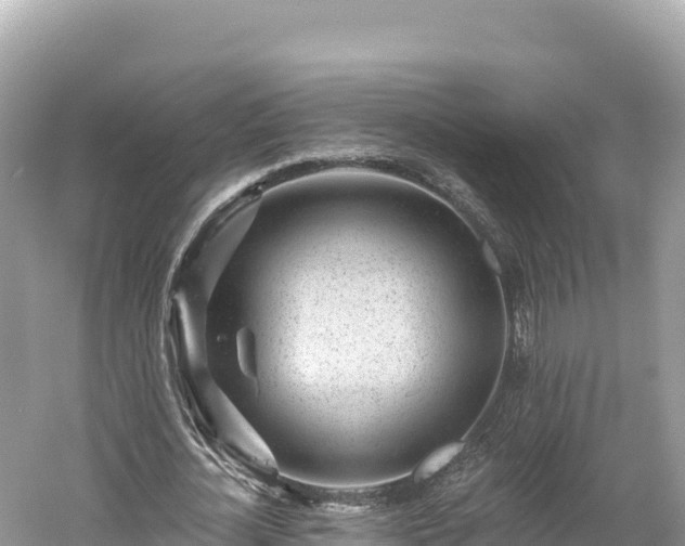 X0000061730724200512050932