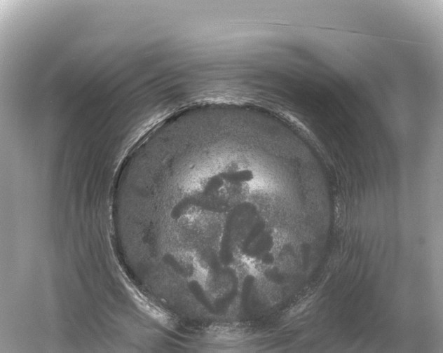 X0000061730725200512050933