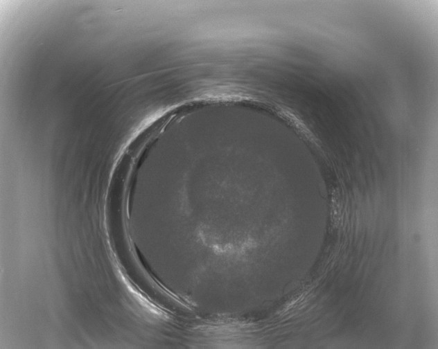 X0000061730726200512050933