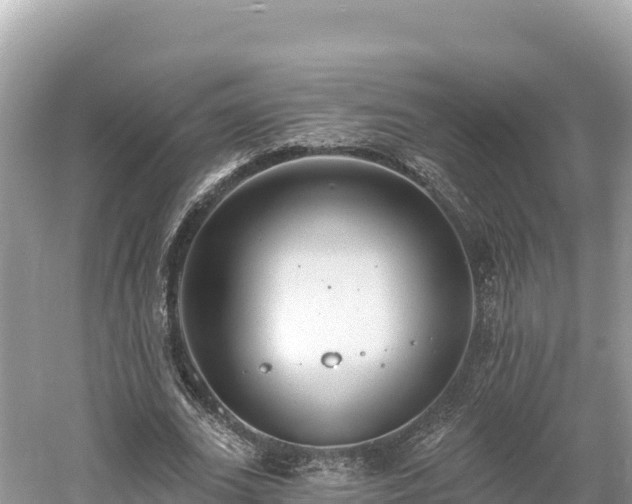 X0000061730727200512050933