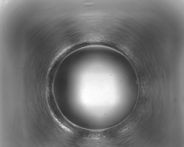 X0000061730728200512050933