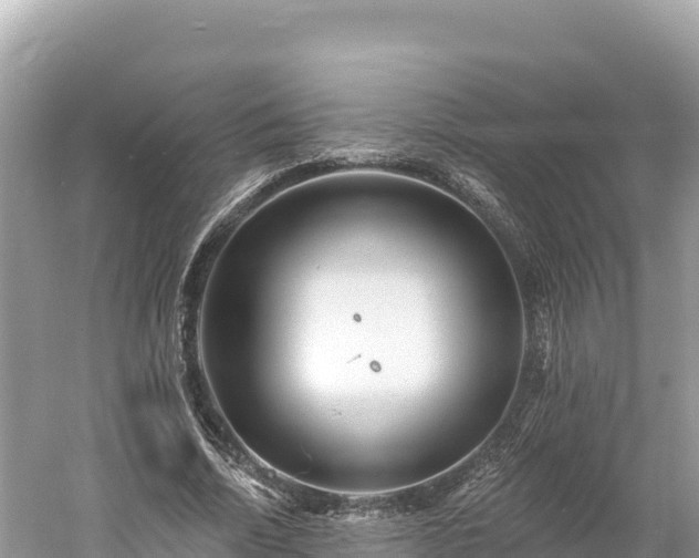 X0000061730730200512050933