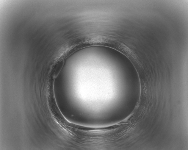 X0000061730732200512050933