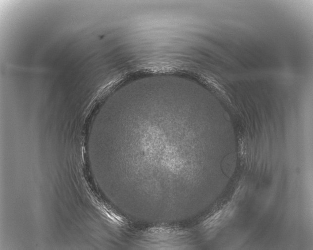 X0000061730733200512050933