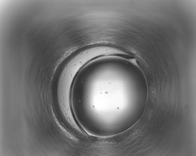 X0000061730734200512050933