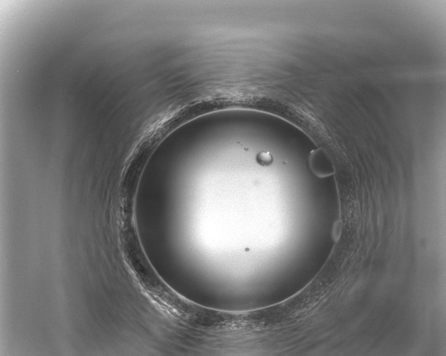 X0000061730736200512050933