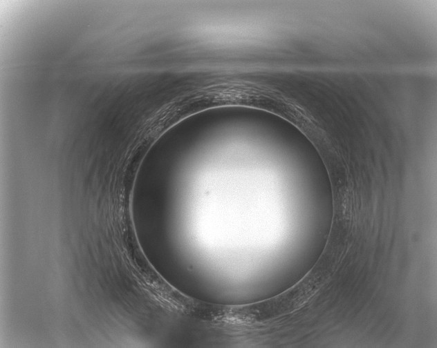 X0000061730737200512050933