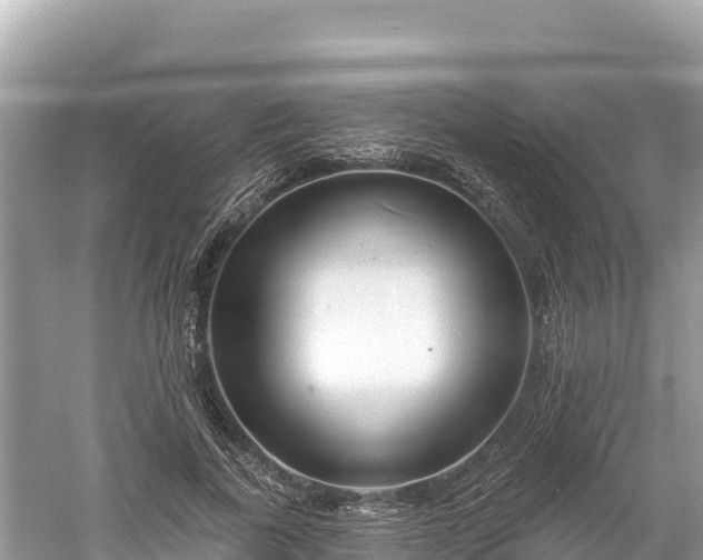 X0000061730739200512050933