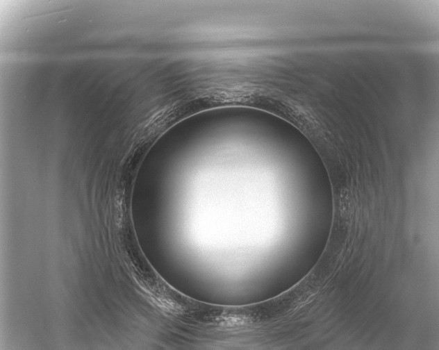 X0000061730741200512050933