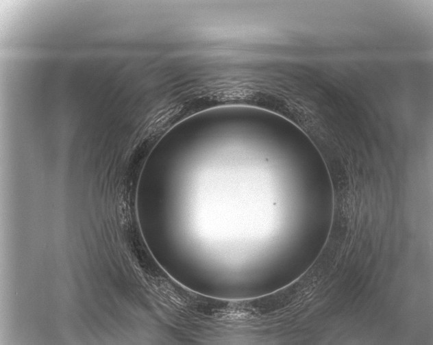 X0000061730743200512050933