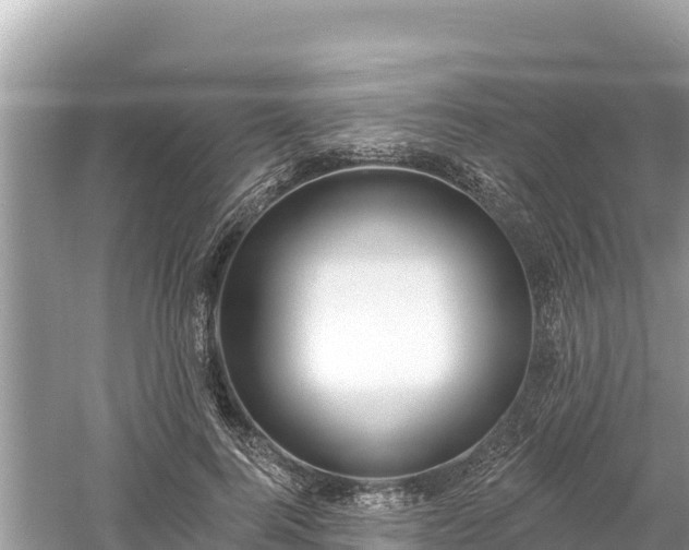 X0000061730744200512050933