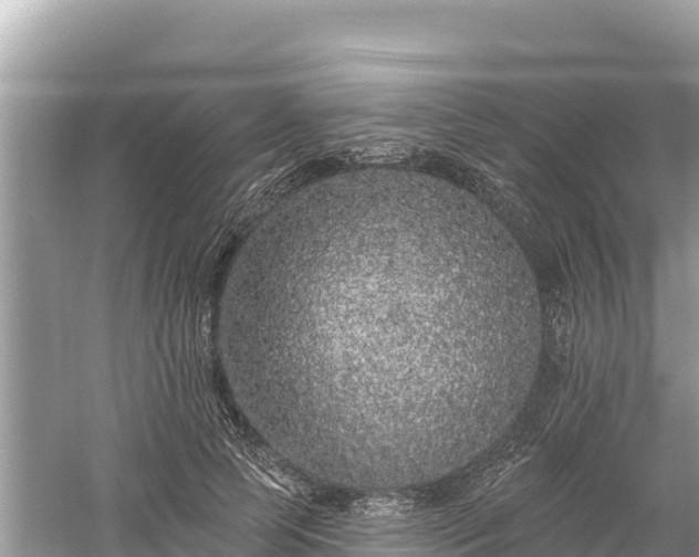 X0000061730745200512050933