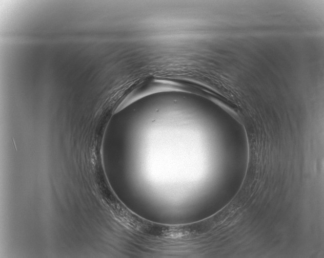 X0000061730746200512050933