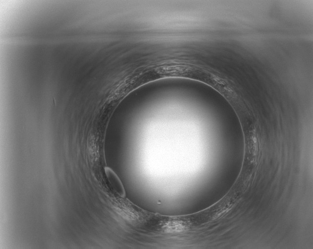 X0000061730751200512050933