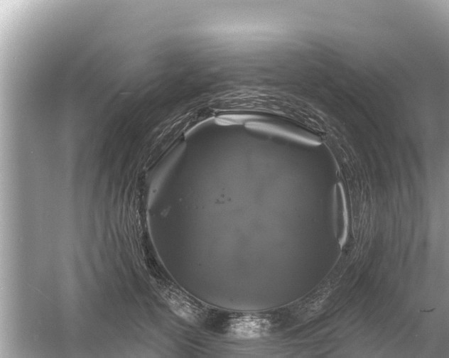 X0000061730754200512050933