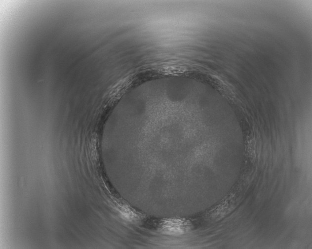 X0000061730757200512050933