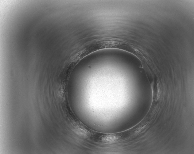 X0000061730759200512050933