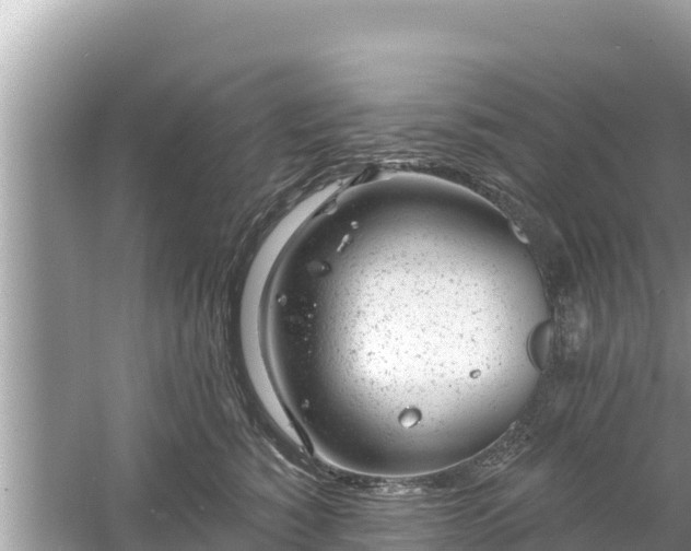 X0000061730760200512050933