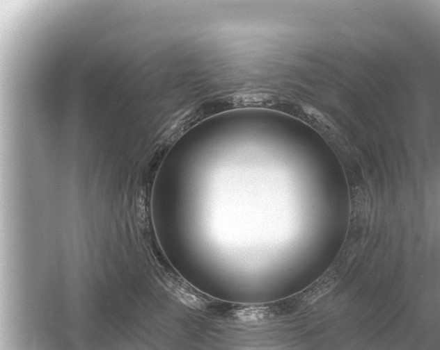 X0000061730761200512050933