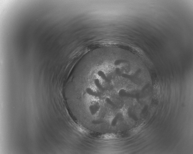 X0000061730765200512050933