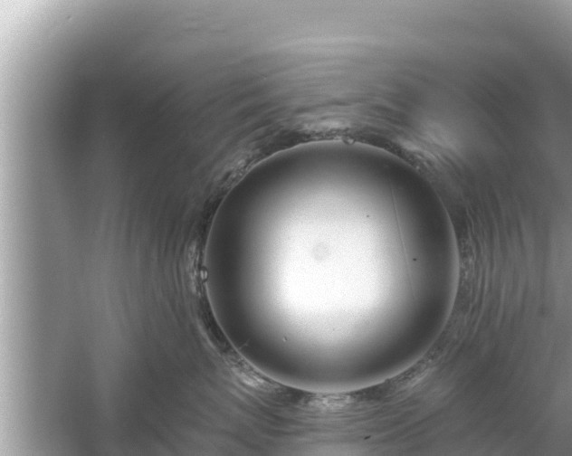 X0000061730767200512050933