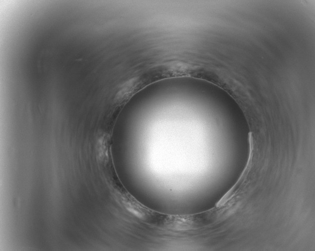 X0000061730768200512050933