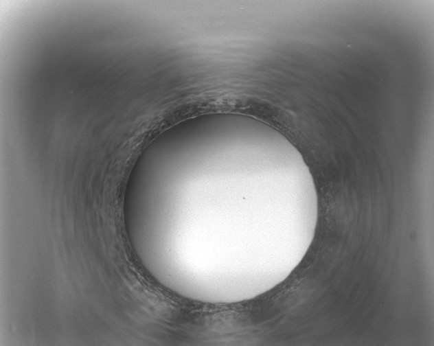 X0000061730769200512050932