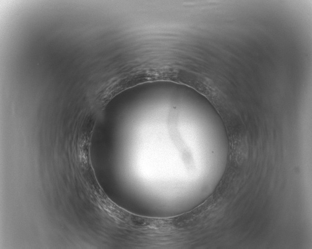 X0000061730770200512050932