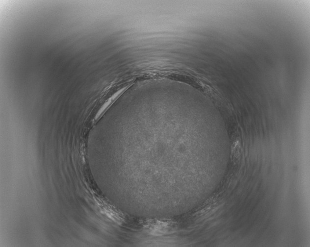 X0000061730772200512050932