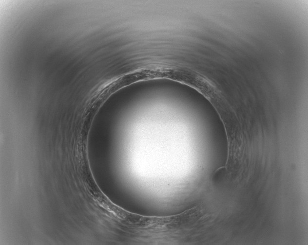 X0000061730773200512050932