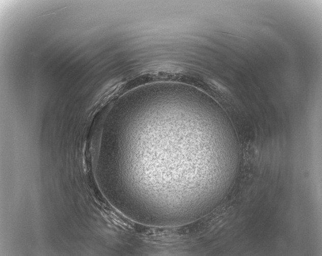 X0000061730774200512050932