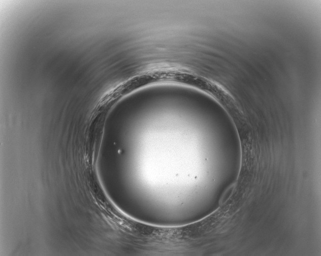 X0000061730775200512050932