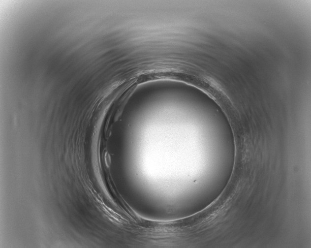 X0000061730777200512050932