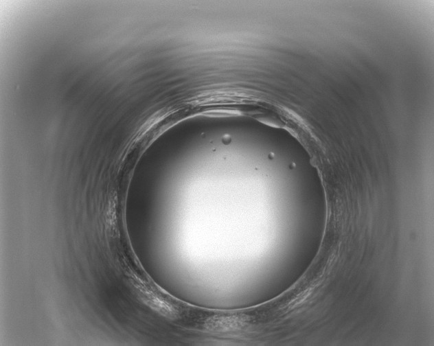 X0000061730778200512050932